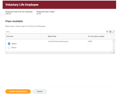 Voluntary life employee section on workday